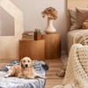 1 Pcs Dog Blankets, Washable Puppy Blankets, Soft Pet Blankets