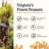 Belmont Peanuts Gourmet Sea-Salted Virginia Peanuts, 25 oz (1 Pack)