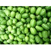 Mexican Miniature Watermelon 15 Seeds -Melothria scabra