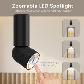 LED Ceiling Picture Lights447