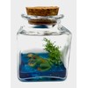 Fish Belli Mini Desk Pet with Adoption Certificate (Frog)