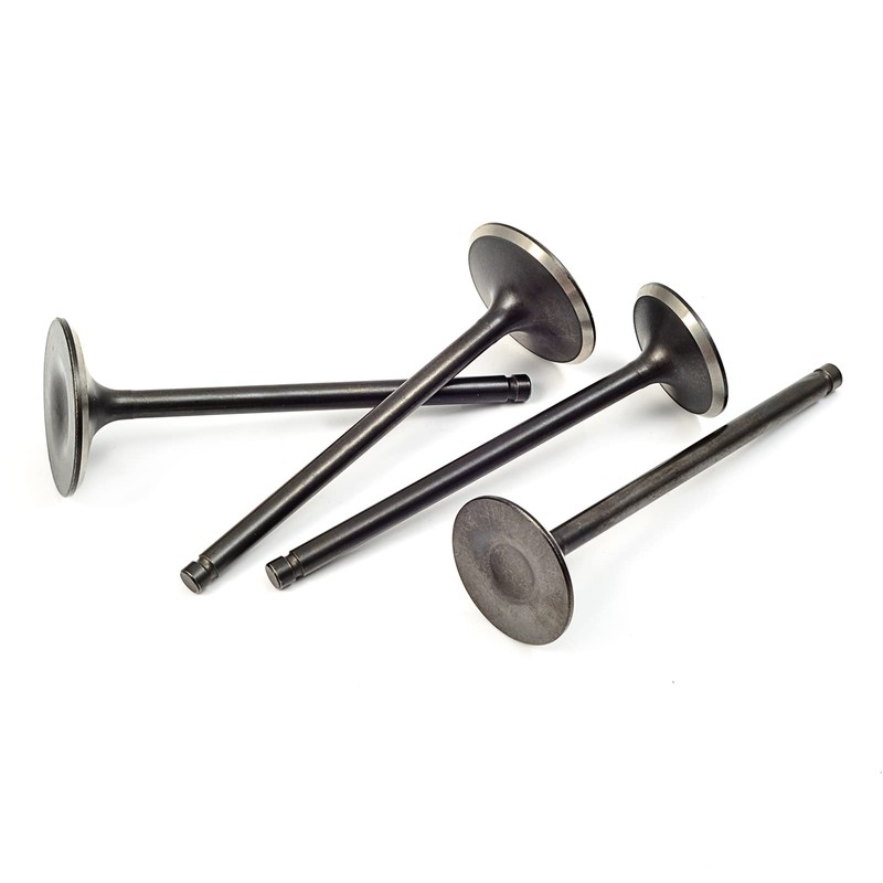Intake & Exhaust Valves and Seal For Polaris Predator 500