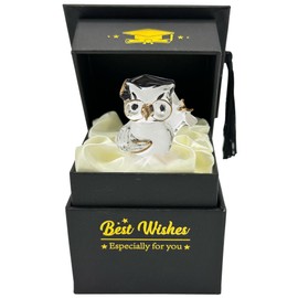 Graduation Gifts for Her Him Keepsakes Graduate High School College University - PHD Masters Degree, Congratulation Ornaments Ideas Friends Daughter Son (Black Owl Box)