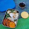 ECOlunchbox Splash Box Leakproof Stainless Bento Lunch Container With Silicone