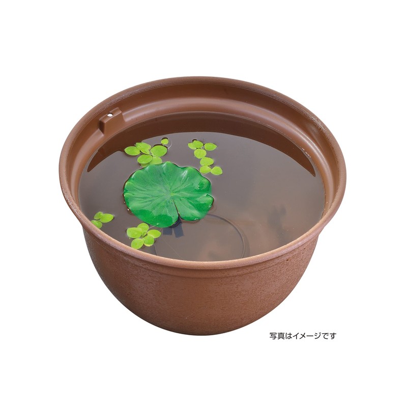 Gex GEX Medaka Energetic, Medaka Aquacape, Amulet Grass Lotus, Floating