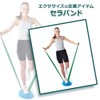 筋肉家 セラバンド 緑 （グリーン） 1m （100cm） インナーマッスル リハビリ トレーニングバンド ストレッチ