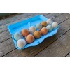 cheep cartons Styrofoam Bulk Egg Cartons (50 pack) Blue