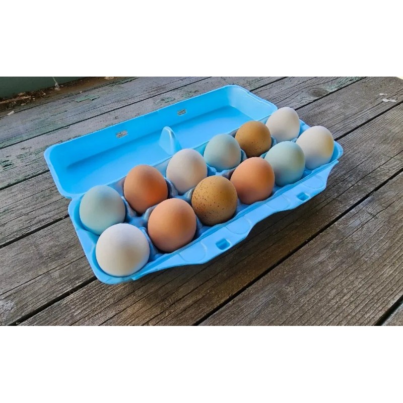 cheep cartons Styrofoam Bulk Egg Cartons (50 pack) Blue