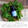 Survive Summer ★ Ainu Tears Natural Japanese Peppermint Oil [Solution