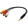 LINDY AV Adapter Cable - Stereo & Composite Video
