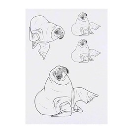 Azeeda 4 x 'Walross' Temporäre Tattoos - Wasserfest, Hautfreundlich & Ungiftig · Transfers in Verschiedenen Größen (TO00052369)
