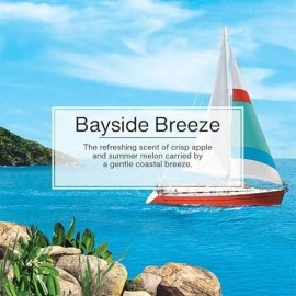 Not Available Little Trees Bayside Breeze Hanging Air Freshener Home Car (Pack Of 24)