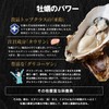 【特選粉末】牡蠣エキスパウダー 30g 〜瀬戸内海産 むき身生牡蠣使用〜＜30日分＞(牡蠣 粉末 無添加 国産 カキ パウダー カキエキス