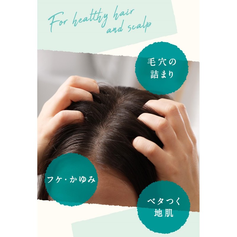 Argital Scallop Shampoo (for Oily & Dandruff & Itchy Skin)