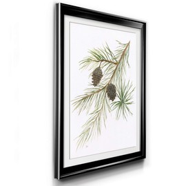 Renditions Gallery Pine with Pinecone II Premium Black Framed Print, Ready to Hang, 24 in H x 18 in W, Made in America Print