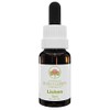 Australian Bush Flower Essences Lichen 15 ml