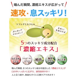 Natadeu Kaifu Mint Scent, Set of 5 Bags
