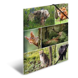 HERMA Portfolio Folders A4 Forest Animals Set of 3 Children's Cardboard Corner Folder with Animal Motif, Elastic Band, Inner Flaps and Inner Print for Boys and Girls