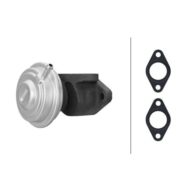HELLA 6NU 014 865-441 EGR Valve Pneumatic with Seals