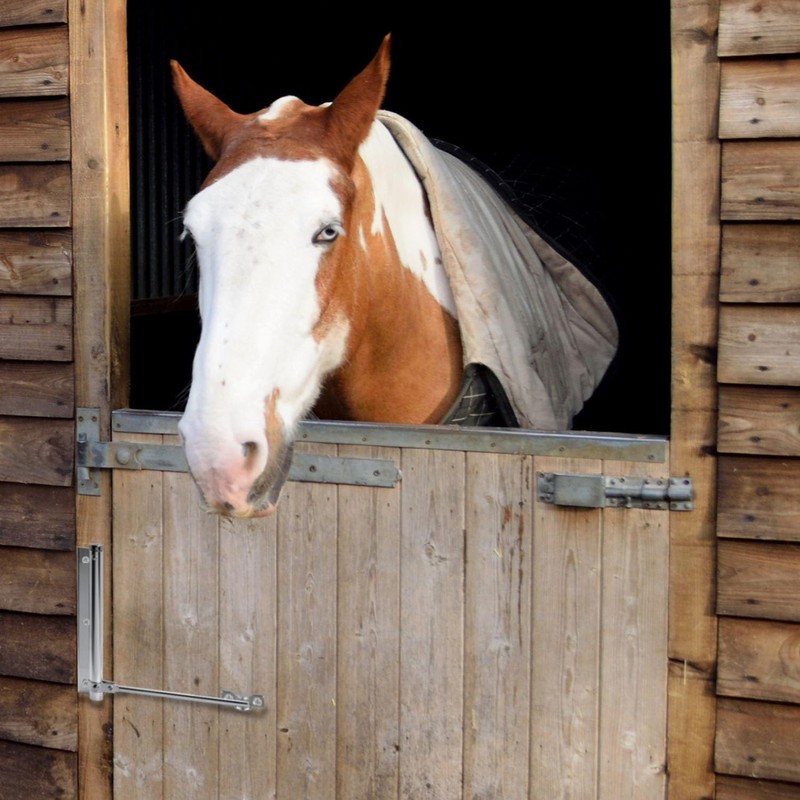 Bolt Door Lock, Automatic Spring, Universal, silver