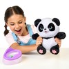 Little Live Pets My Baby Panda ChuChu|Interactive Pet with 50+