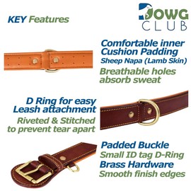 DowgClub | Genuine Leather Dog Collar | Full Grain, Heavy Duty | Comfortable, Padded, Strong | Best for Pups, Small, Medium, Large & XL Breeds (Small (Fit Neck Size 11.5"-14.5"), Dark Brown)