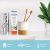 Himalaya Himalaya Botanique Whitening Antiplaque Toothpaste with Xylitol, Fluoride Free,