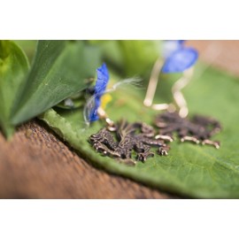 WINDALF Waliz Nordic Earrings 2.7 cm Viking Dragon Nordic Mythology Medieval Jewellery Bronze, Jewellery fabric bags