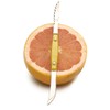 RSVP International Endurance Grapefruit Tool Collection Stainless Steel, Dishwasher Safe,