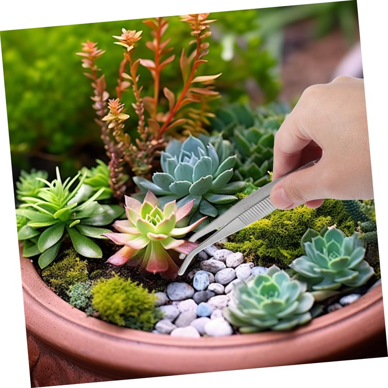 FRCOLOR 5pcs Gardening Tool Planting Tweezers Succulent Tweezers Lightweight Ergonomic