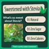 Zevia Zero Sugar Tea, Earl Grey Tea Blood Orange, 12