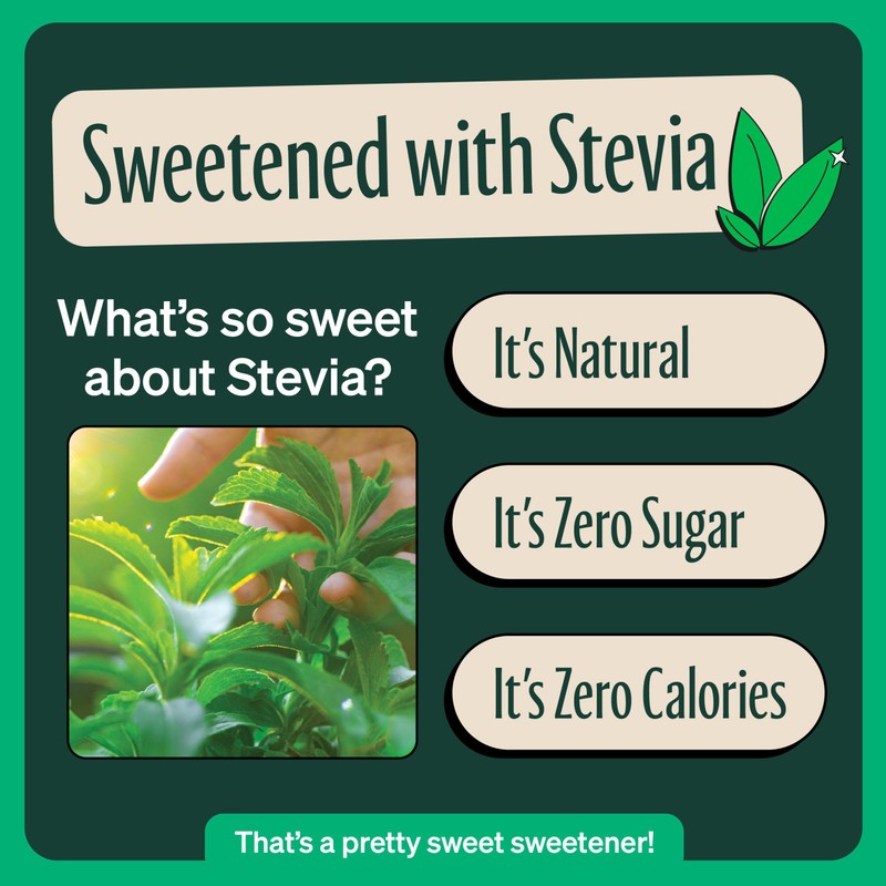 Zevia Zero Sugar Tea, Earl Grey Tea Blood Orange, 12