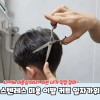 p1 스텐레스 미용 이발 커트 일자가위 미용가위 Stainless Steel Hair