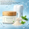 2PCS Hydroxyapatite Tooth Powder, Remineralizing Tooth Powder, with Mint, Hydroxyapatite,