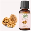 RADANYA Ayurveda RADANYA Ayurveda Walnut Carrier Oil 100% Pure &