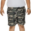 D555 Mens Kody Big Tall All Over Print Swim Shorts