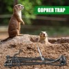 8 Pack Mole Gopher Traps for Outdoor Lawn and Garden,