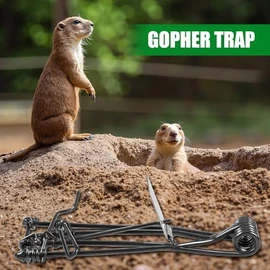 8 Pack Mole Gopher Traps for Outdoor Lawn and Garden, Heavy Duty Reusable Vole Traps, Professional Rodent Control Trapping Kit for Yard and Farm, Easy to Set (Black)