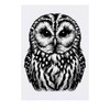 'Tawny Owl' Temporary Tattoo - Water Resistant, Skin-Safe, Non-Toxic Transfer