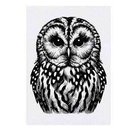 'Tawny Owl' Temporary Tattoo - Water Resistant, Skin-Safe, Non-Toxic Transfer (TO00080233)