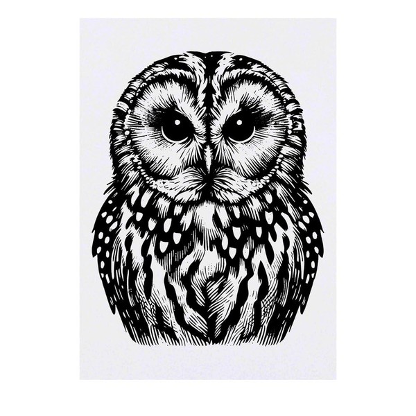 'Tawny Owl' Temporary Tattoo - Water Resistant, Skin-Safe, Non-Toxic Transfer
