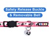 Pawtitas Glow in The Dark Cat Collar with Safety Buckle