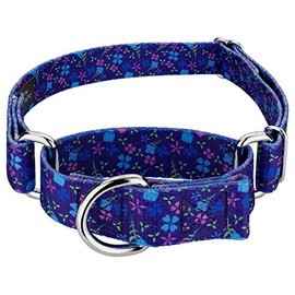 Country Brook Petz - Blueberry Fields Martingale Dog Collar - Floral Collection with 8 Charming Designs (1/2 Inch, Extra Small)