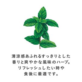 Tea Boutique Peppermint Cut 20g