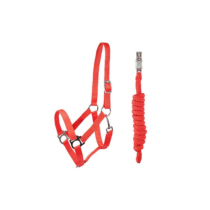PFIFF 102931 Halter and Rope Set, Plastic Halter Lead Rope,
