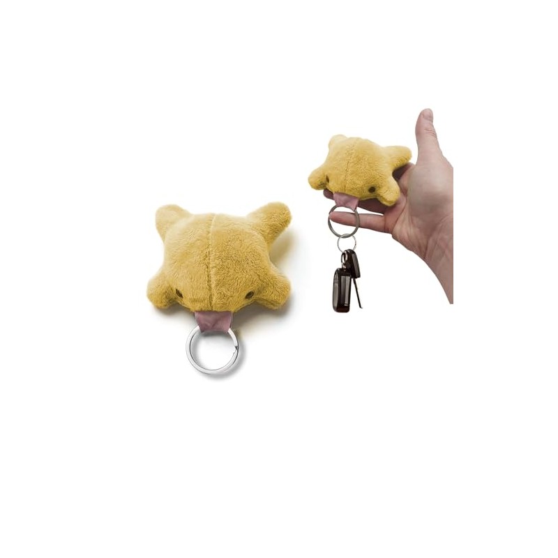 Agromusk Cute Frog Keychain,Kawaii Frog Plush Keychain,Green Frog Purse Bag