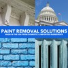 Complete Paint Removal Test Kit - Find The Right Paint