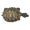 Pond Turtle Spitter