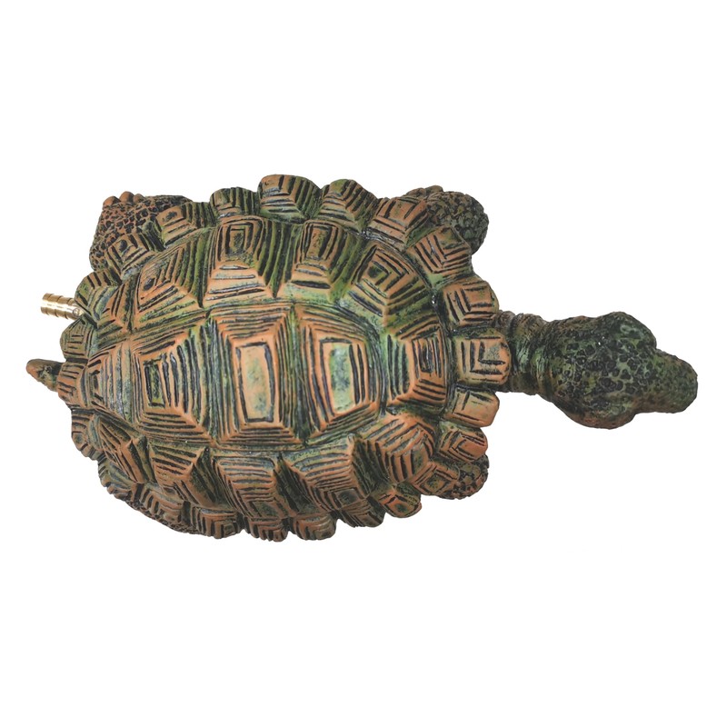 Pond Turtle Spitter