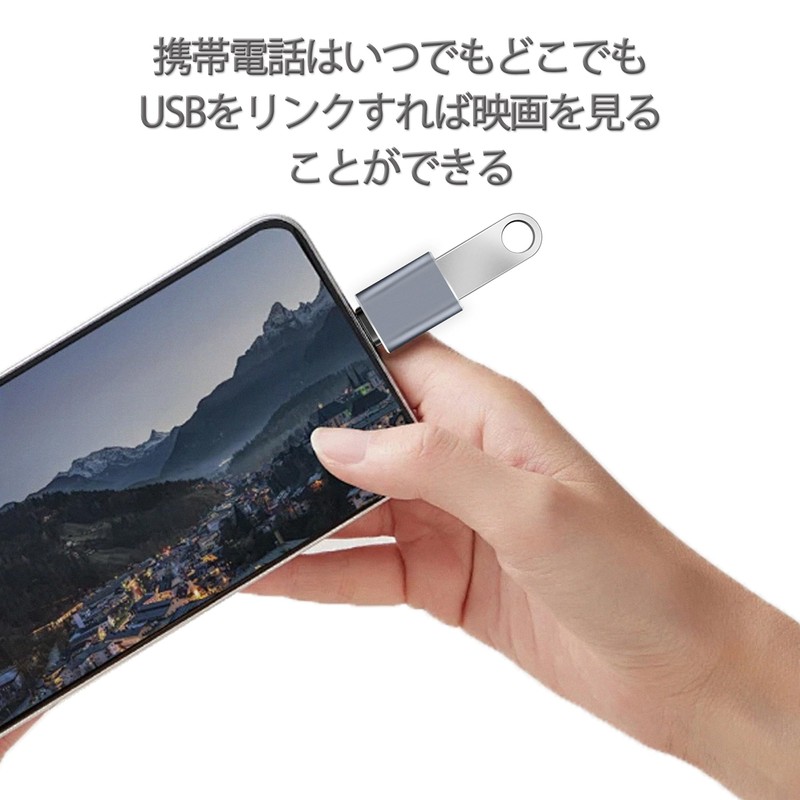 type-C USB-A Converter (Set of 1)